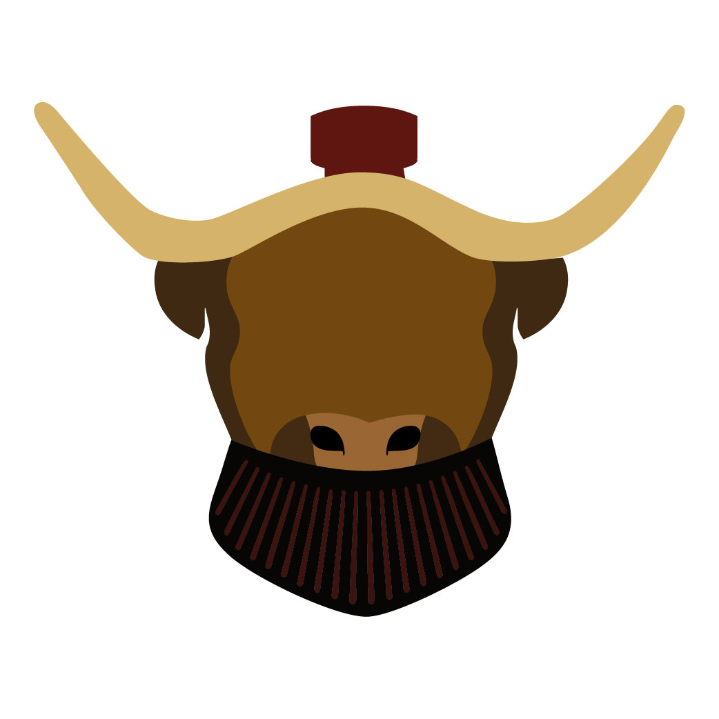 logo Destinox